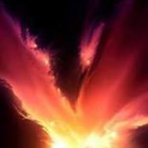 Meet your Posher, Leesa